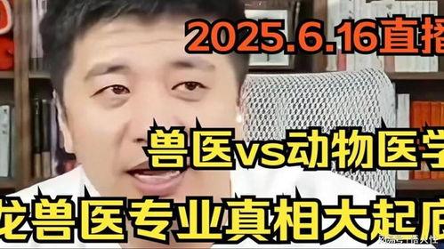 韩国兽医爆料视频,揭露宠物食品行业惊人内幕 第1张 韩国兽医爆料视频,揭露宠物食品行业惊人内幕 第1张