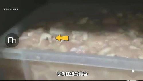 华莱士最新爆料,揭秘娱乐圈惊人内幕 第1张 华莱士最新爆料,揭秘娱乐圈惊人内幕 第1张