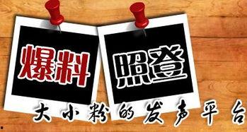 新闻小编最新爆料,新闻小编最新爆料,带你直击事件背后真相 第1张 新闻小编最新爆料,新闻小编最新爆料,带你直击事件背后真相 第1张