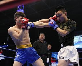 拳王爆料司机视频播放,揭秘司机视频背后的惊人真相  第3张