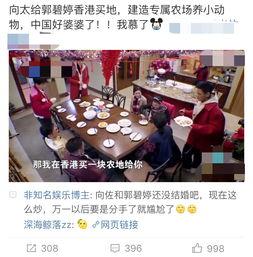 向太最新爆料,娱乐圈不为人知的真相大揭秘